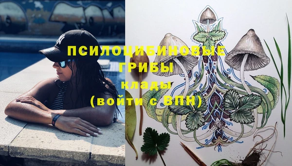 тгк Горно-Алтайск