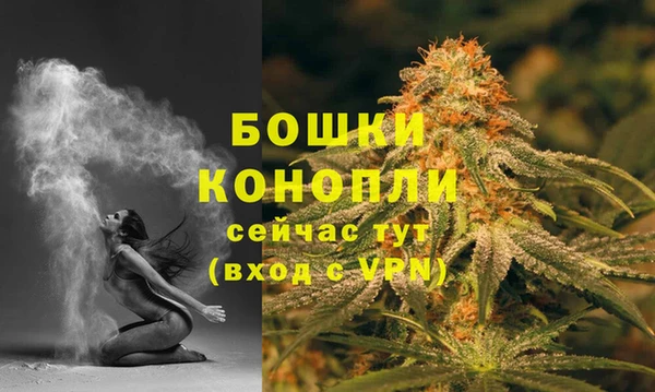 тгк Горно-Алтайск