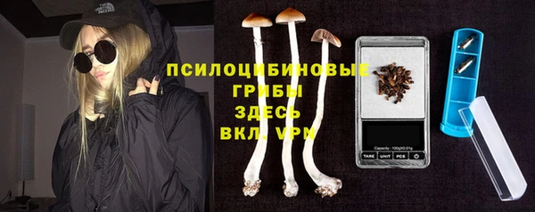 mix Горняк