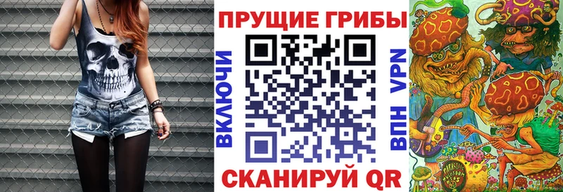 Псилоцибиновые грибы GOLDEN TEACHER  Купить где  Камень-на-Оби 